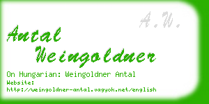 antal weingoldner business card